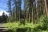 Blackhorse Campground