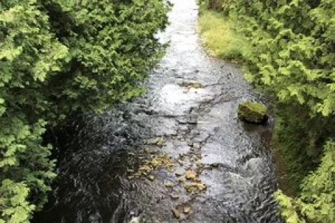 Elora Gorge Conservation Area