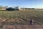 Young Field WMA