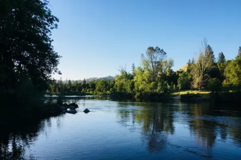 Camp Lotus