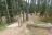 Many Pines Campground
