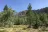 Aspen Campground
