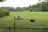 River Meadows Park