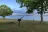 McCown Valley Campground