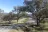 Laguna Mountain Campground