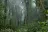 Monteverde Cloud Forest Biological Reserve