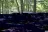 Campers Cove Campground