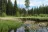Ponderosa RV Campground