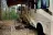 Peaceful Pines RV Park