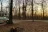 Martin State Forest