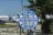 Austin's Landing RV Park & Resort