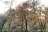 Whitehorse County Park