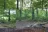 Forbes Designated Campsite #1