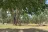Deerlodge Park Campground