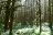 Seaquest State Park