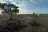 Long Canyon Road Dispersed Camping