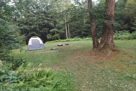 Riansares Road Campsite #13