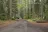 Millersylvania State Park