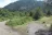 Fish Lake #5