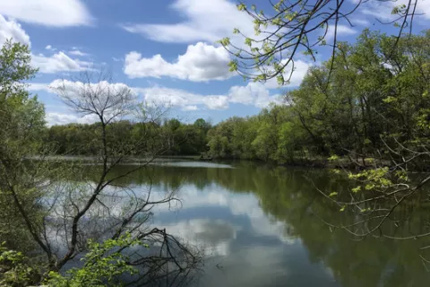 Wilson Lake County Park