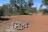 Forest Road 413