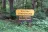 Collins Campground