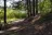 Bull Run Lake
