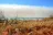 Broome