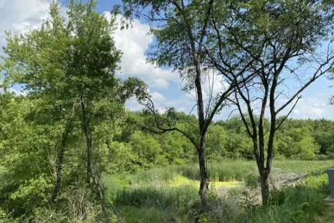 Little Sioux Park Campground