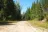 Forest Road 895H