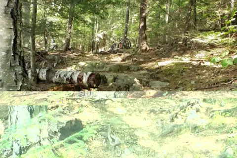 Monadnock State Park