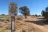 Willow Springs Trail Dispersed Camping