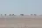 Makgadikgadi Salt Pan