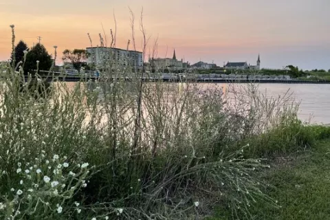 Seagull Marina and Campground