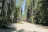 Lake Five Resort