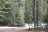 Forest Road 4792 Dispersed Camping