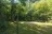 Selkirk Provincial Park