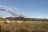 Young Field WMA