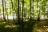 Ionia State Recreation Area