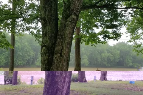 Tall Sycamore Campgrounds