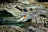Crocosaurus Cove