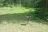 Alpine Country Store & RV Park