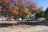 Lake Nacimiento Resort
