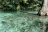 Ponce De Leon RV Park