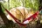 Camping Mille Etoiles