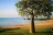 Broome
