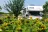 Camping Veliko Tarnovo