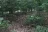 Seven Points Campground