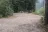 Fish Creek Road Dispersed Camping