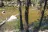 Dalles Campground